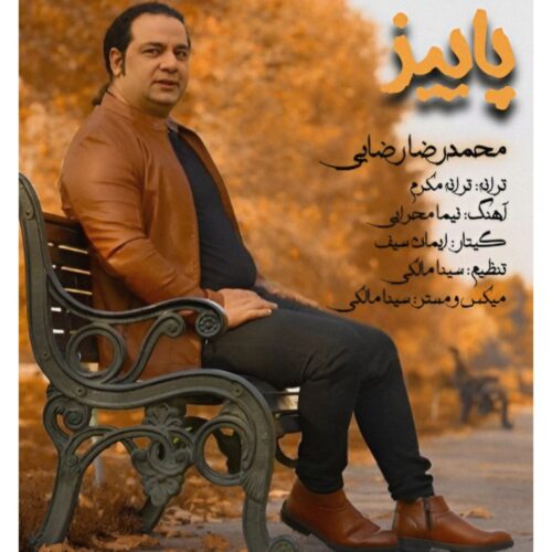 دانلود آهنگ محمدرضا رضایی پاییز